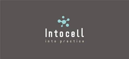 인투셀 [인투셀 제공]
