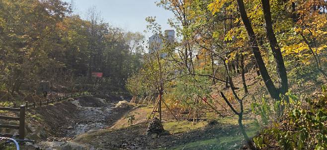 용인시 수지구 죽전동 대지산 자락에 조성된 도시 숲.(사진=용인시)