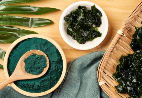 해조류에는 모발 성장에 도움이 되는 성분이 다량 포함돼 있다. [사진= Vecteezy]