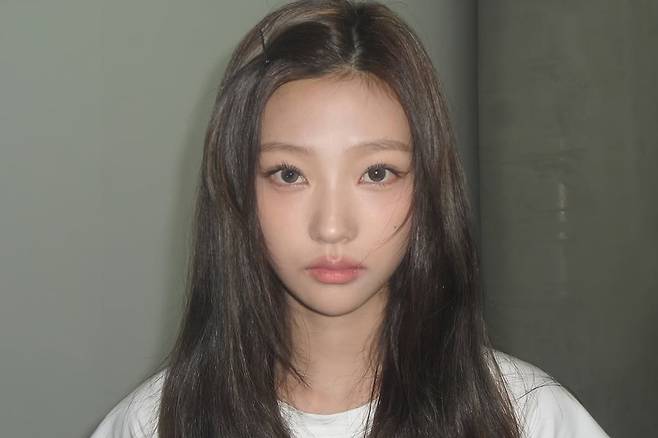 스텔라