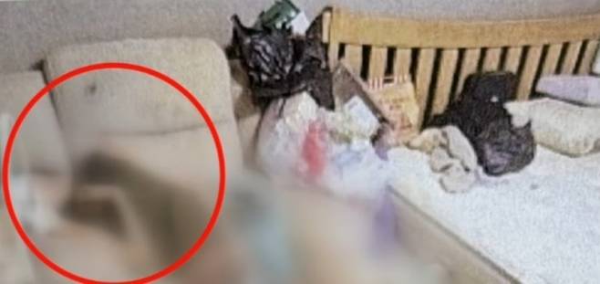 유족이 공개한 사진. JTBC 뉴스 갈무리