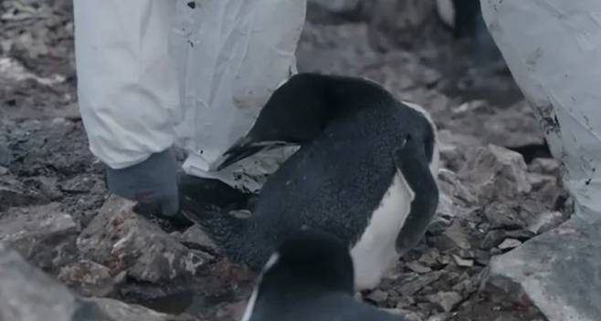 ‘남극의 셰프’ 예고편. 사진| MBC