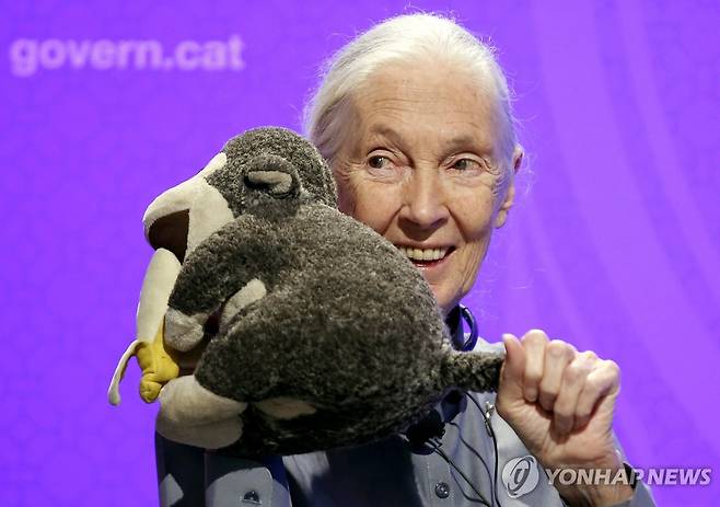 2015년 당시 제인 구달 모습 [EPA 연합뉴스 자료사진. 재판매 및 DB 금지]