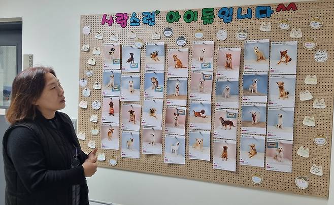 입소한 유기동물 설명하는 김혜경 주무관  [촬영 박주영]
