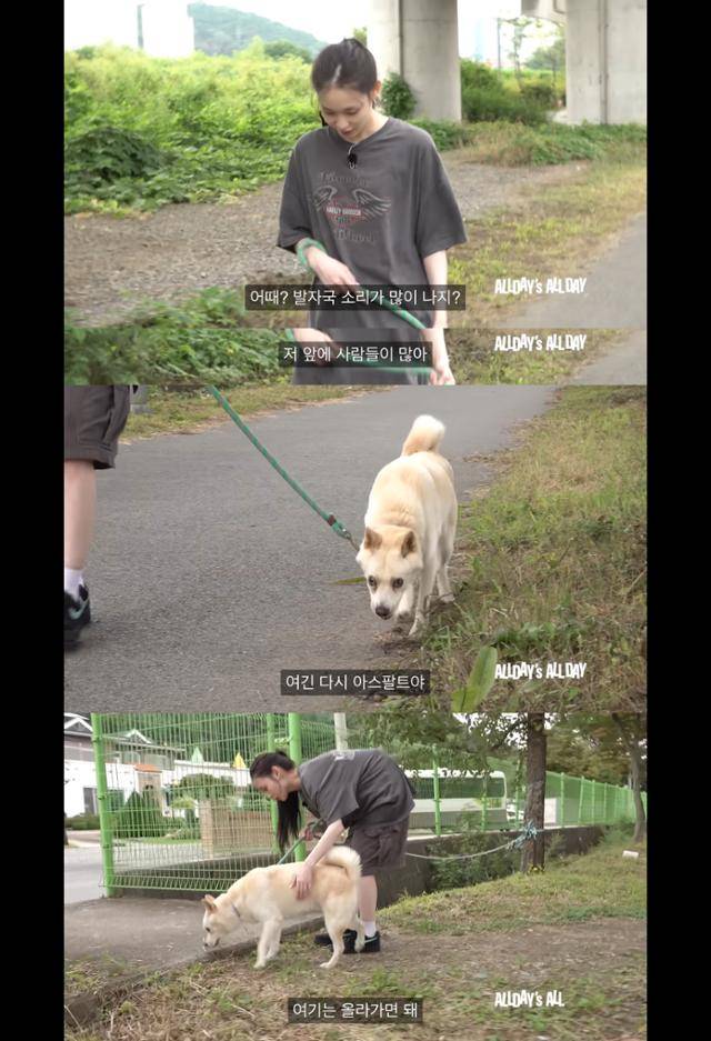 녹내장으로 앞이 보이지 않는 강아지와 발맞춰 걷는 애니 @ ALLDAY's ALL DAY '애니와 우찬의 유기견 봉사 일지' 캡처