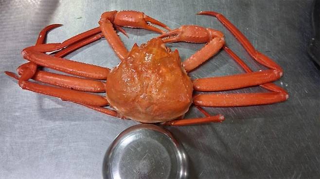 사진=온라인커뮤니티