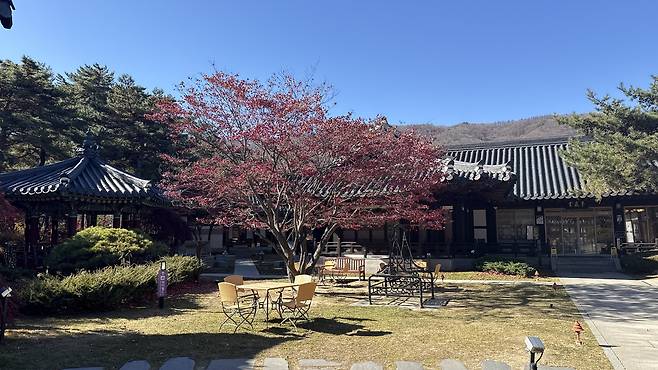 Unamjeong hanok cafe within High1 Resort [WOO JI-WON]