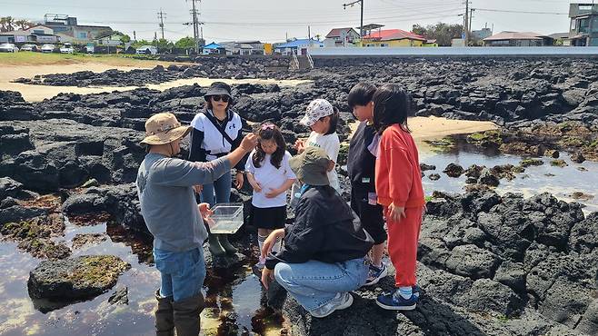 평대초등학교 3학년 학생들이 제주시 구좌읍 평대 해변(쉰모살)에서 생태탐험대 수업을 통해 무늬발게, 돌팍망둑, 달랑게 등 습지 생물을 익히고 있다.  평대초등학교