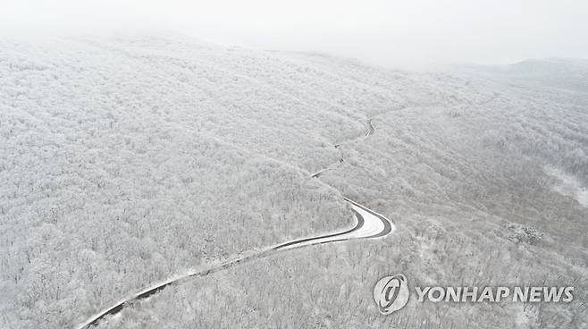 한라산 1100도로 설경 [연합뉴스 자료사진]