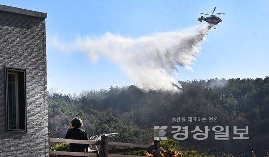 ▲ 30일 오전 11시 28분께 울산 울주군 범서읍 중리 야산에서 산불이 발생한 가운데 산불현장과 인접한 농가주택에서 한 주민이 산림청 헬기의 진화모습을 지켜보고 있다. 김동수기자 dskim@ksilbo.co.kr