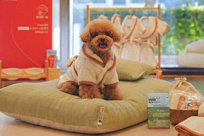 제주신화월드 디어 마이 팻밀리 인프라