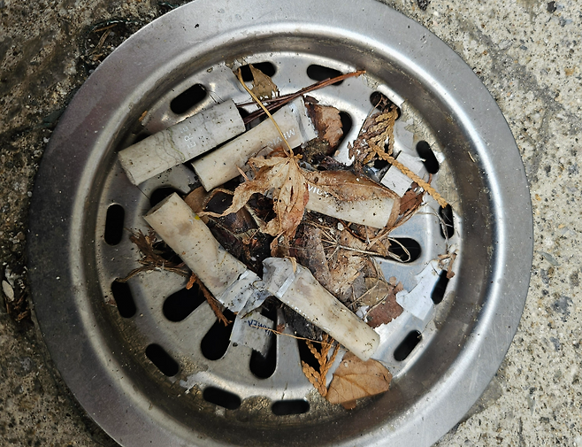 배수구가 담배꽁초로 막혀 있다. 김광우 기자.