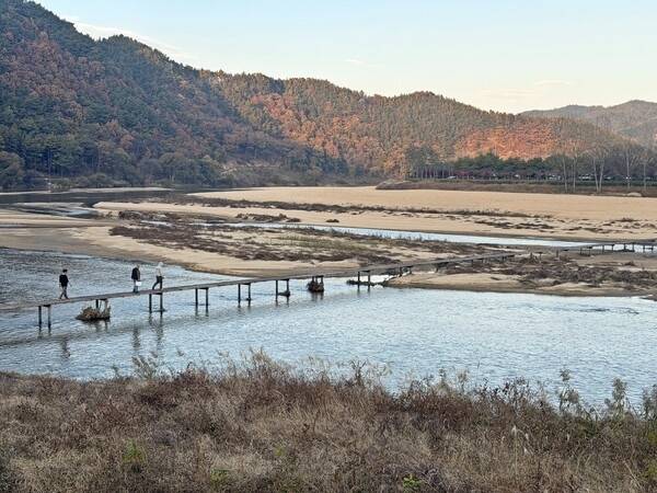 회룡포 뿅뿅다리