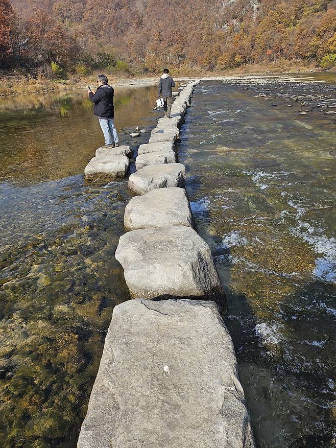 농암종택 앞 징검다리.