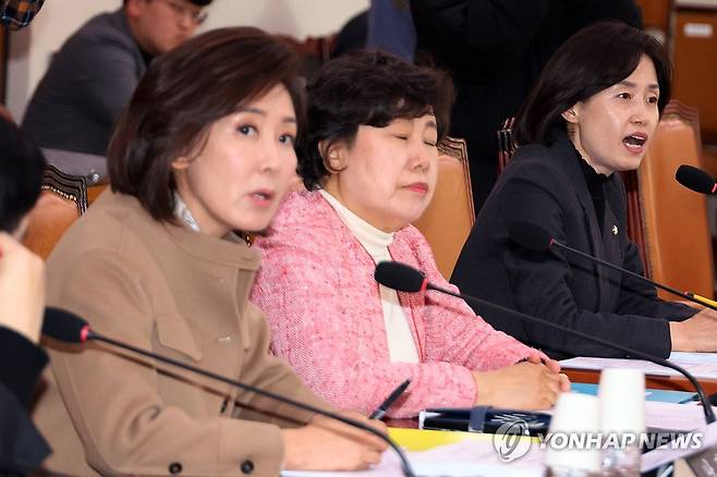 '소위에서는 나박대전' (서울=연합뉴스) 김주성 기자 = 국민의힘 나경원 의원과 조국혁신당 박은정 의원이 1일 서울 여의도 국회 법제사법위원회에서 열린 법안심사제1소위원회의에서 내란 전담재판부 설치법 논의와 관련해 언성을 높이며 상반된 주장을 하고 있다. 2025.12.1 utzza@yna.co.kr