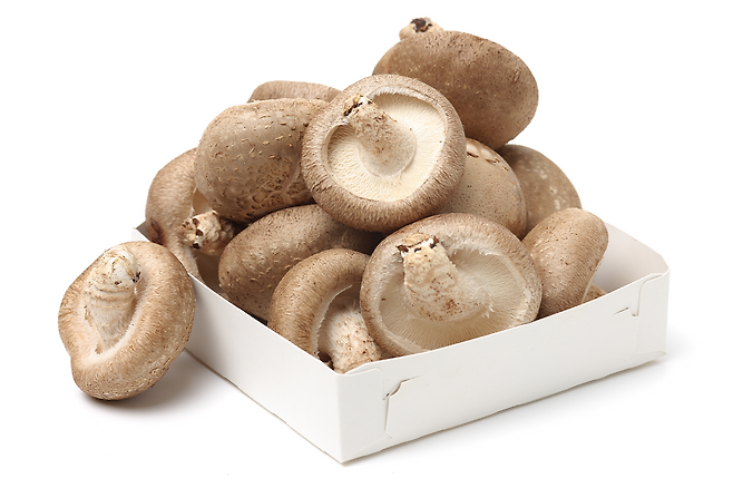 표고버섯
