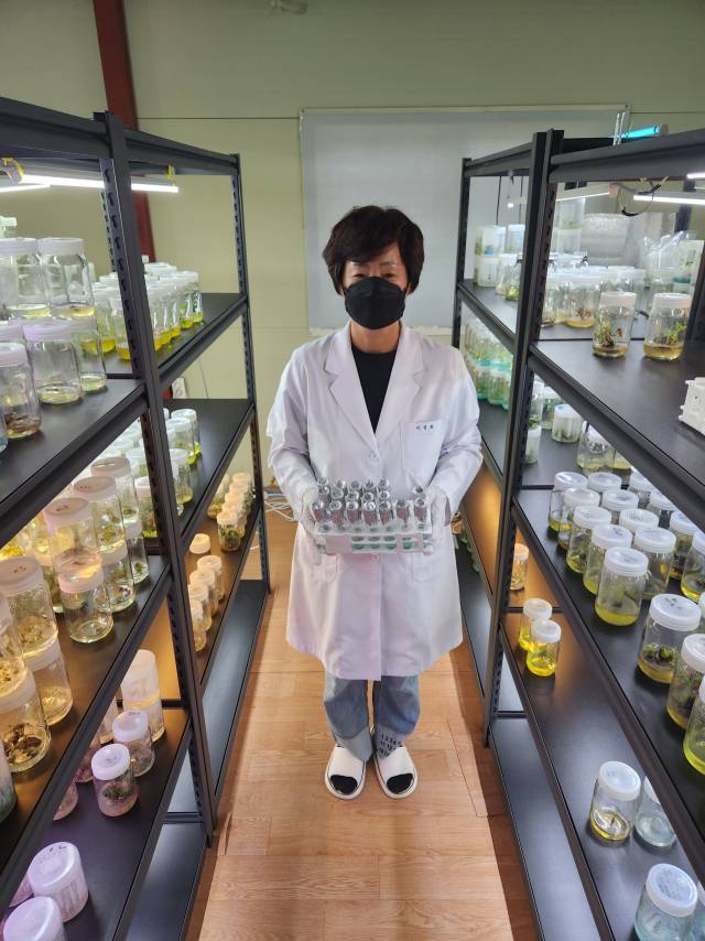 이정화 이농장 농업회사법인 대표가 조직배양실에 있는 모습. 이농장 농업회사법인 제공