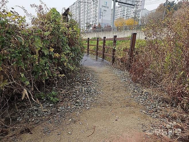 지난해 12월 준공된 광주 남구 진월동 수변공원이 한전 송전탑 공사로 인해 마무리 작업을 하지 못한채 1년 가까이 방치된 가운데 산책로 입구에 잡초가 무성하게 자라있다. 강주비 기자