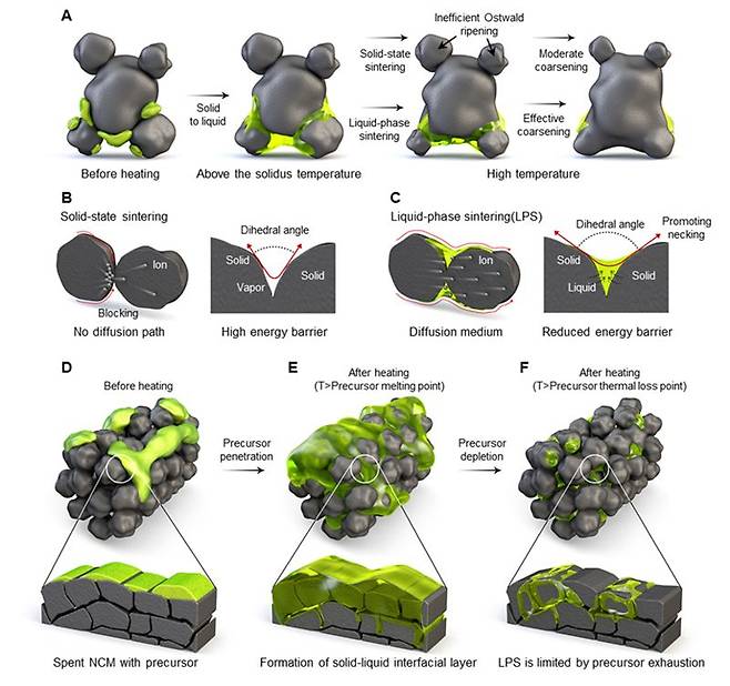 직접노출가열(DEH) 기술을 활용한 폐배터리 소재 합성 이미지. 국립부경대 제공