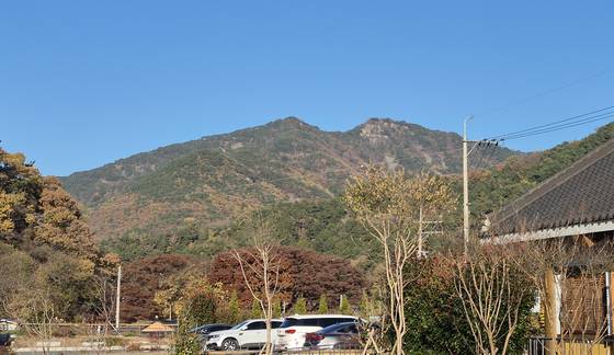 승산마을에서 바라본 방어산. 이 산을 중심으로 한 일대가 풍수지리적으로 금계포란형을 이룬다. [사진 김정탁]