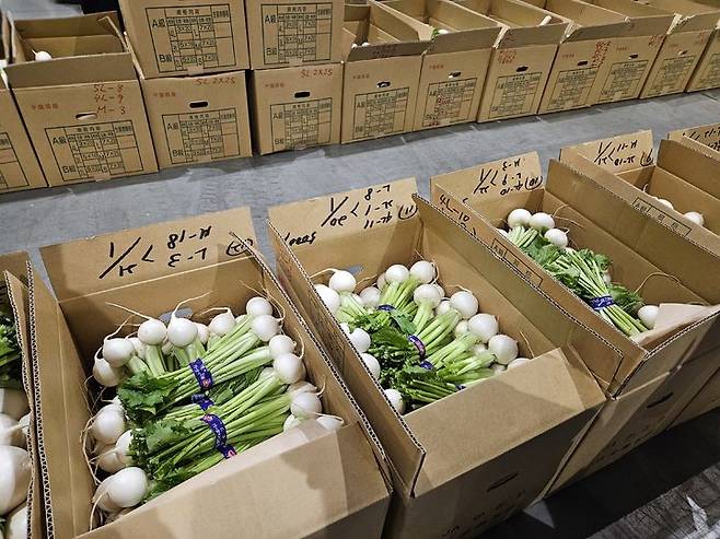 [도쿄=뉴시스] 26일 오전 6시30분께 일본 도쿄도 도요스시장 청과동 모습. (사진=임소현 기자) *재판매 및 DB 금지