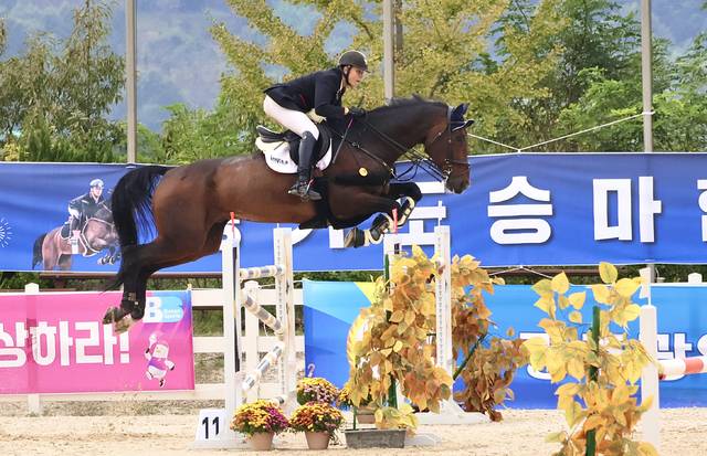 제106회 전국체육대회 승마에 출전한 전북 선수가 장애물을 넘고 있다. 전북자치도승마협회 제공