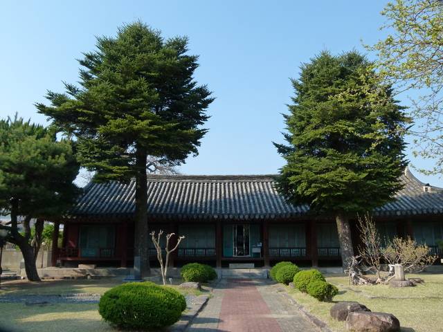 스웨덴과 일본 국왕이 심은 일본 전나무. 정문에서 좌측이 스웨덴 구스타프 6세 아돌프가, 오른쪽이 일본 히로히토 국왕이 세자로 있을 때인 1926년 서봉총(瑞鳳冢) 발굴에 참여하고 기념으로 심었다.