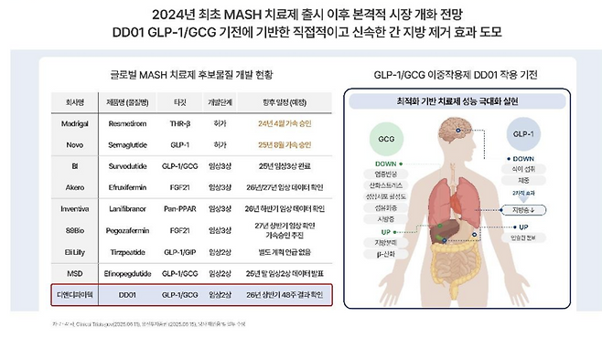 MASH 치료제 허가 및 임상 현황(자료=디앤디파마텍)
