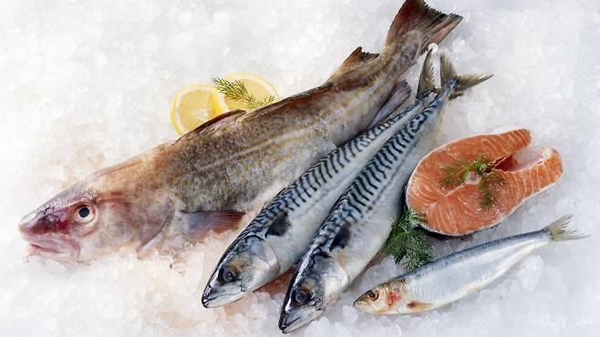 생해산물을 재냉동하는 과정에서 생기는 얼음 결정이 이미 손상된 조직에 구멍을 낼 수 있다｜출처: 클립아트코리아