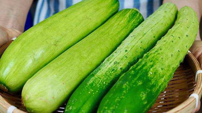 수분이 많은 채소는 냉동 과정에서 세포벽이 손상되어 식감이 변한다｜출처: 클립아트코리아