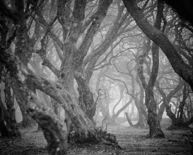 가작 수상작 '비틀린 시간의 파동'. /김남국 작가 제공