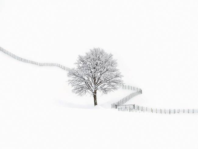 가작 수상작 '순백의 고요'. /김남국 작가 제공