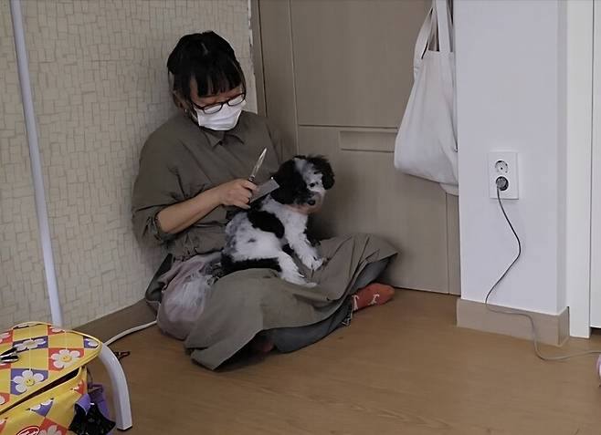 지난 10월 초 태어나 처음으로 미용을 경험하는 유기견 ‘단추’에게 미용 도구 교육을 하고 있는 이시하라 미카 ‘이누코코로 포즈케어’ 대표. 이시하라 대표 제공