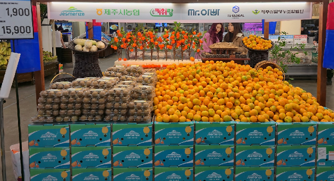 감귤·키위·월동무를 한 브랜드 아래에 배치한 ‘Jesmerize’ 통합 상품 진열대. (제주농협 제공)