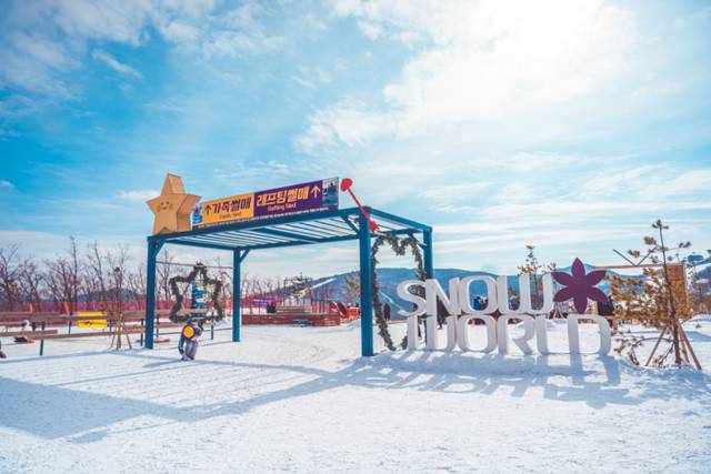 ▲ 하이원리조트 스노우월드 전경.