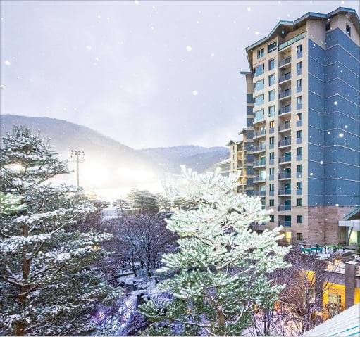 곤지암리조트 제공