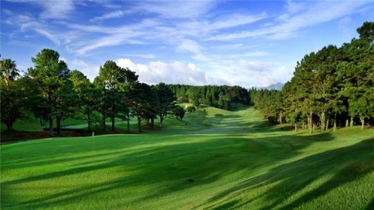 가고시마 카모CC 전경