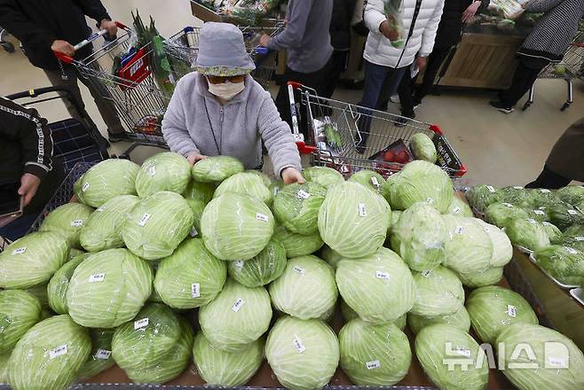 [서울=뉴시스] 서울 시내의 한 대형마트에서 양배추가 판매되고 있다. (사진=뉴시스 DB). photo@newsis.com