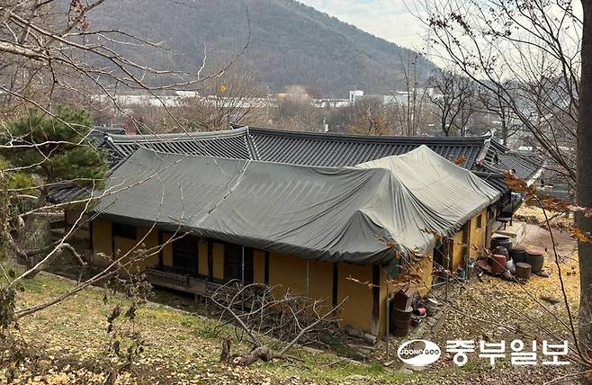 박씨 고택 전경. 최민서 기자