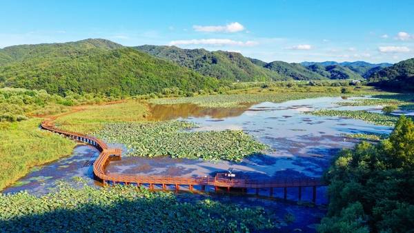 합천 정양늪생태공원 전경. /경남도민일보 DB