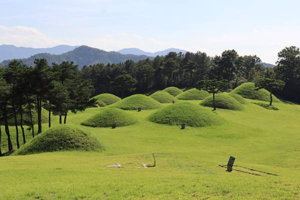 합천 옥전고분군 전경. /경남도민일보 DB