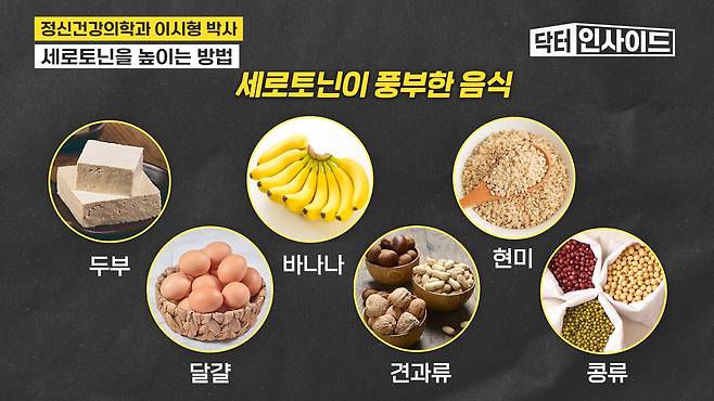 /조선일보 의학·건강 유튜브 '닥터 인사이드'