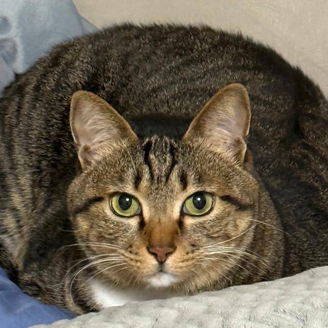 육지 해삼..? 보호자 제공