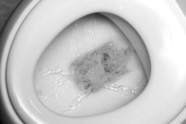 소변 색을 관찰하는 습관이 건강 문제를 발견하는 데 도움이 될 수 있다. /사진=클립아트코리아