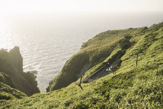 [엣나인필름 제공]