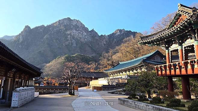 강원 속초시 신흥사