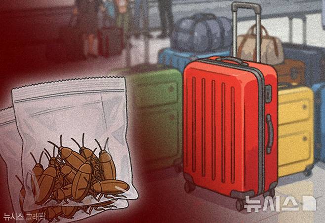 [서울=뉴시스] 해당 이미지는 기사의 이해를 돕기 위해 AI로 생성 후 편집함. *재판매 및 DB 금지