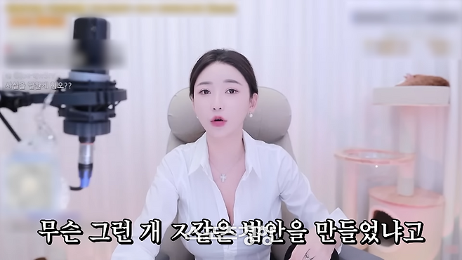 유튜버 감동란. 본인 유튜브 채널