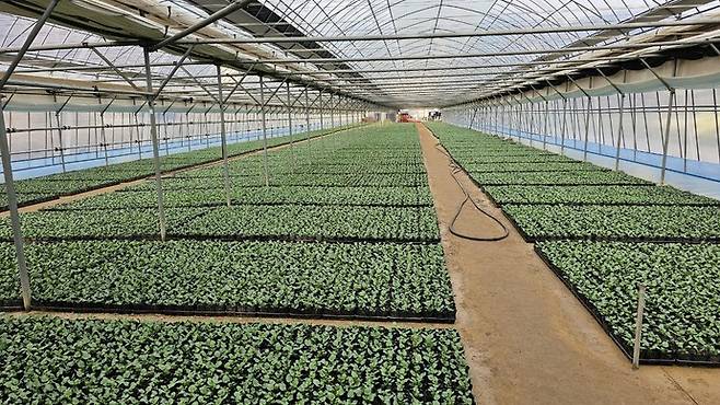 사진제공 = 안양시