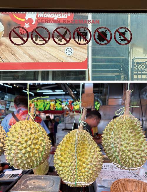 (위)버스 내부에 붙여 있는 ‘두리안 금지’ 경고문구 (아래)고품질의 페낭 두리안